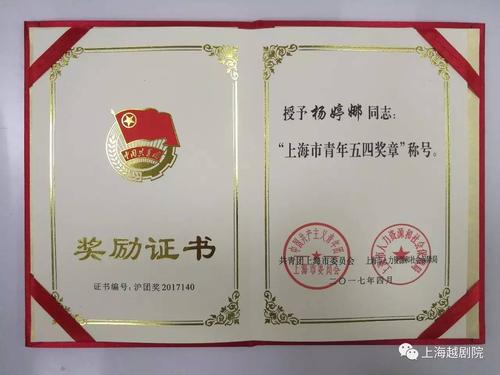 来自上海的他们，摘得中国优秀青年最高荣誉 上海五四青年奖章厉害吗