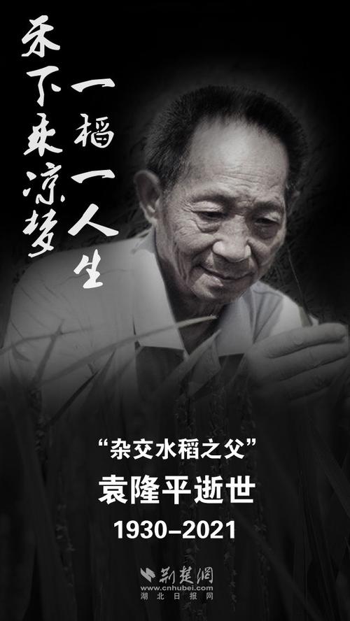 袁隆平离开后的这一年 重庆人这样纪念他 91秒追忆袁隆平