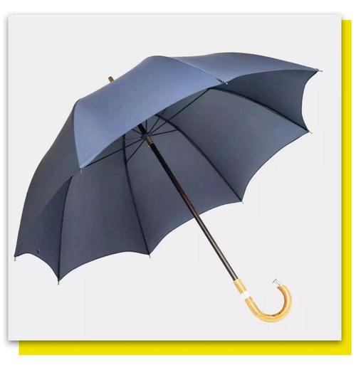 雨中的一把雨伞 一把雨伞的图片