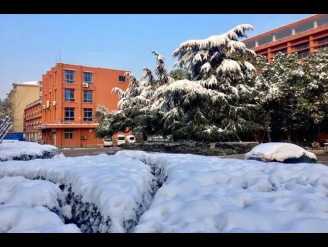 校园赏雪 冬天的校园景色